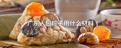 ​广东包粽子的材料有什么特点 广东包粽子的材料有哪些