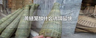 ​黄鳝笼放什么诱饵最快0003 黄鳝笼放什么诱饵最快