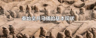 ​解析秦始皇兵马俑的历史文化地位 秦始皇兵马俑的性质和影响