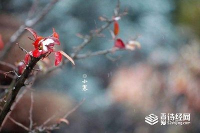 ​今日小寒最冷的日子来了 为什么最冷