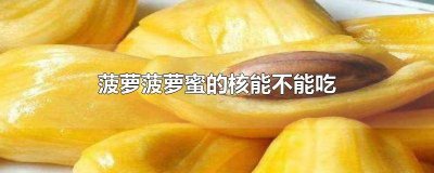 ​菠萝蜜怎么吃核能吃吗 菠萝蜜的核可不可以吃