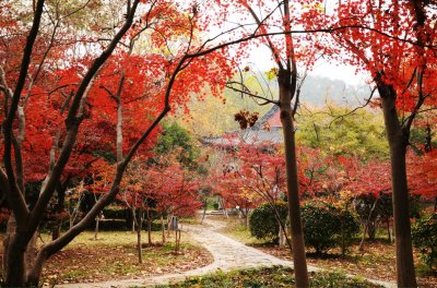 ​南京的山有哪些（南京有哪几座山）