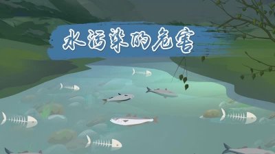 ​水污染的原因