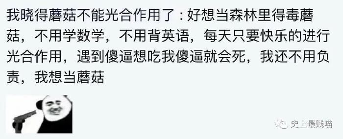 何鸿燊的5000亿资产是什么概念？？网友的回答让我怀疑人生...