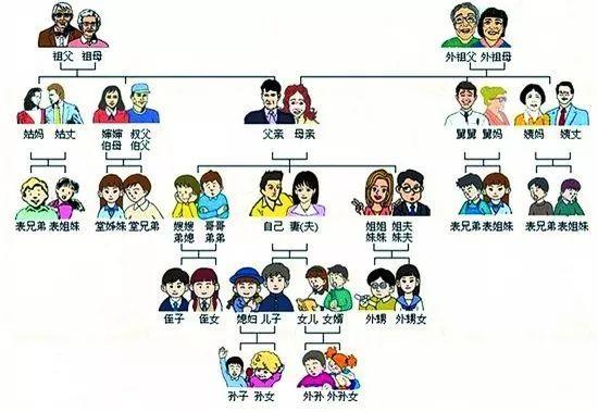 春节拜年必备神器：中国人的亲戚关系计算器！收藏