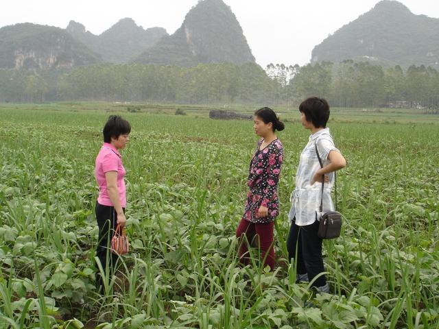 广西出美女多？本地人怎么不知道