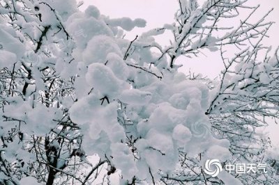 ​新疆北部今夜至25日仍多降雪 伊犁河谷一带为何暴雪天天见