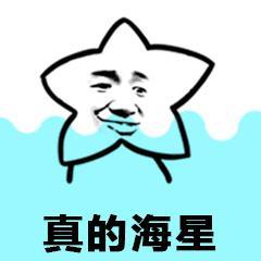 海星表情合集，共31图