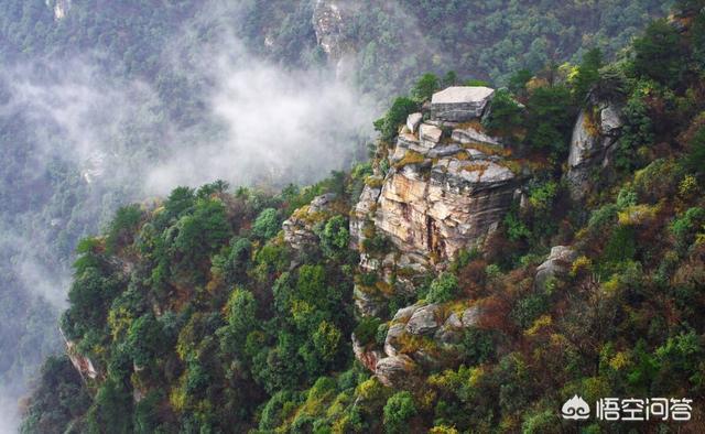 去庐山好还是黄山好？这里分析