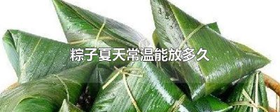 ​粽子可以常温放几天吃吗 粽子可以常温放几天再吃吗