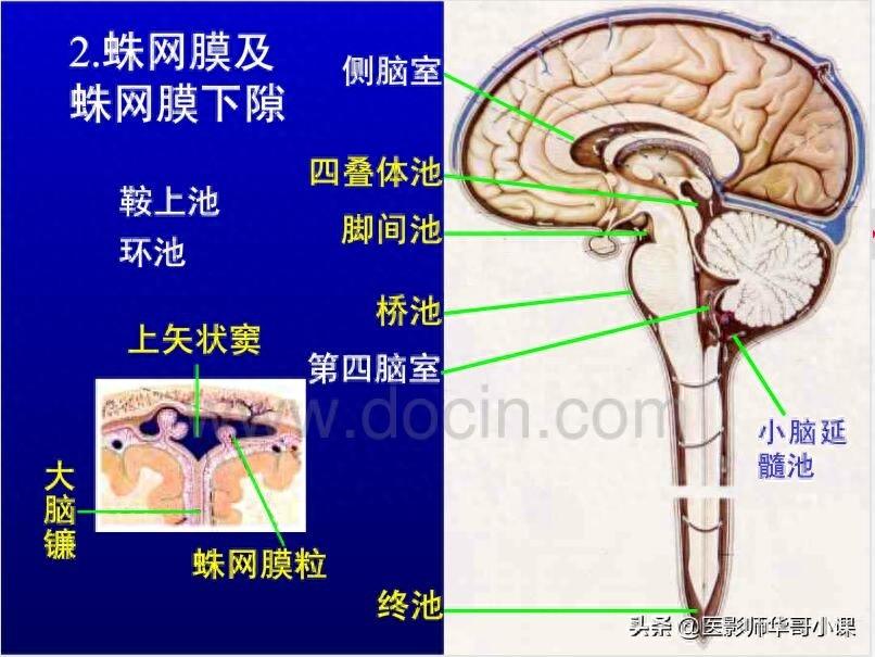 头颅（CT）解剖--精品图集