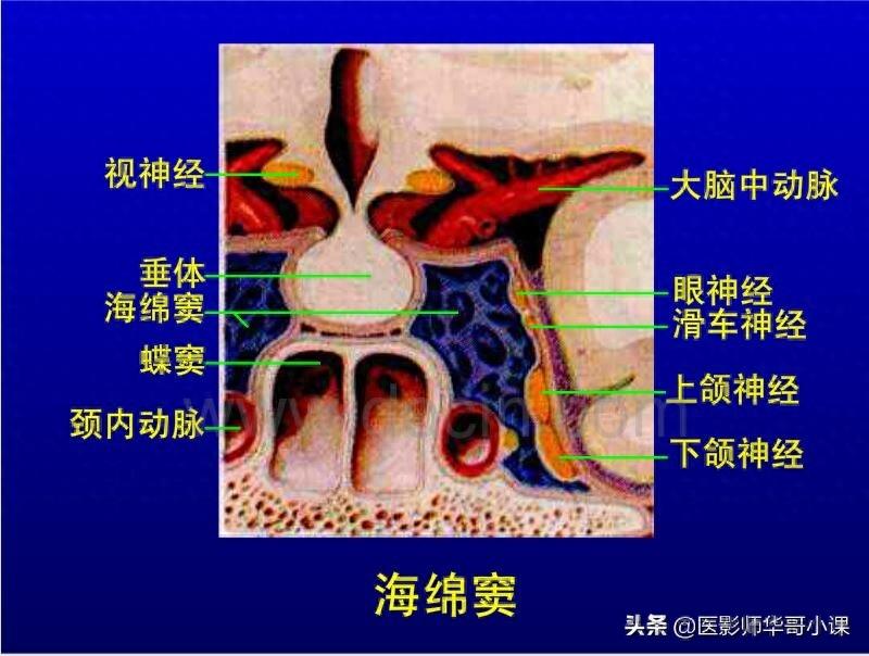 头颅（CT）解剖--精品图集