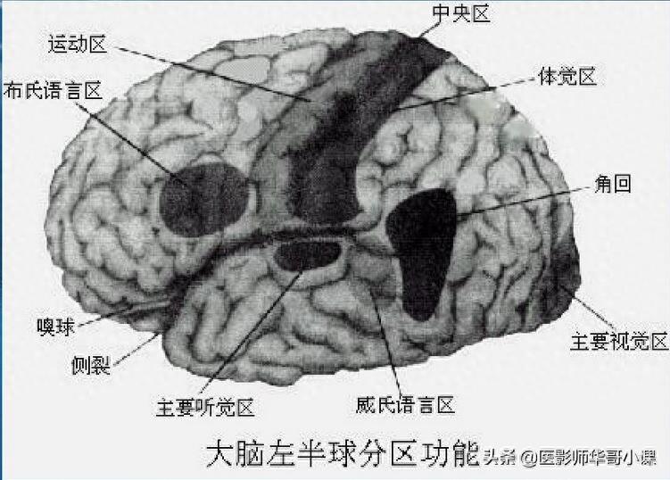 头颅（CT）解剖--精品图集