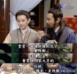 ​长大才发现，许仕林中状元光宗耀祖耀的究竟是哪家的祖宗，太绝！