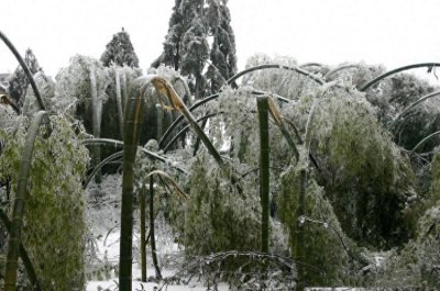 ​2008年春节南方的那场雪灾，还有多少人记得，那年你在哪儿