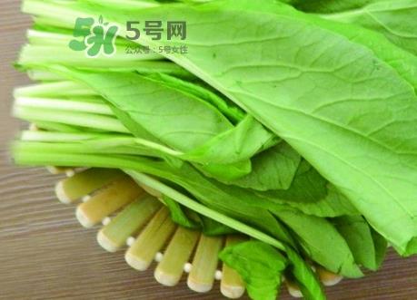 油菜怎么保存_油菜怎么保鲜_油菜保存方法