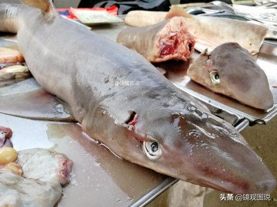 ​海中“霸主”成餐桌美食 海鲜市场鲨鱼12元一斤 网友：长见识