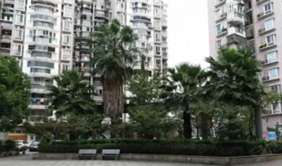 颠了!温州欧洲城房价都才7300一平?