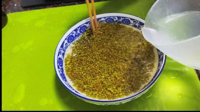 发绿豆芽用开水烫一下绿豆,四天就能收获豆芽,发了一大盘