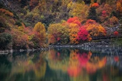 古诗文赏析:《天净沙·秋》(元)白朴